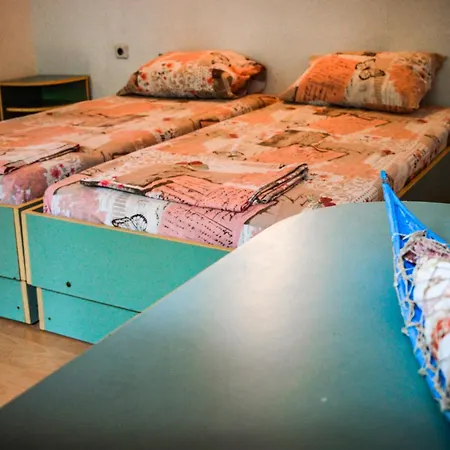 Camping Albatross Retro Summer *